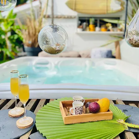 Evasion Tropicale - D'artiste Avec Jacuzzi Prive Dans Un Jardin Exotique