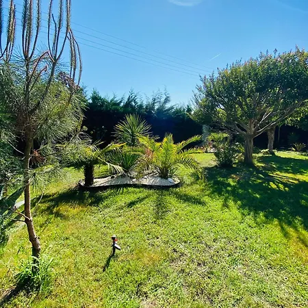 Evasion Tropicale - D'artiste Avec Jacuzzi Prive Dans Un Jardin Exotique *
