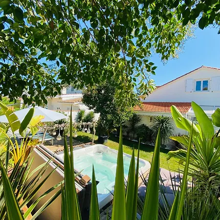 Evasion Tropicale - D'artiste Avec Jacuzzi Prive Dans Un Jardin Exotique Pansiyon