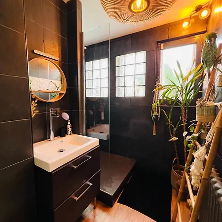 Evasion Tropicale - D'artiste Avec Jacuzzi Prive Dans Un Jardin Exotique Mérignac